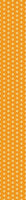 patterned-wallpaper-sunny-funny