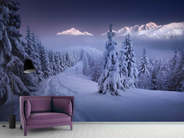 photo-wallpaper-in-the-winter-x