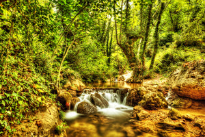 photo-wallpaper-waterfall-in-the-forest