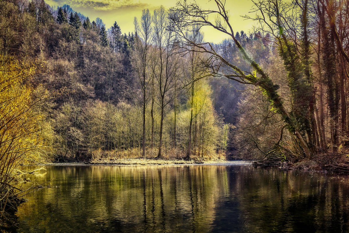 photo-wallpaper-lake-in-the-forest