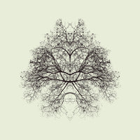 photo-wallpaper-rorschach-test