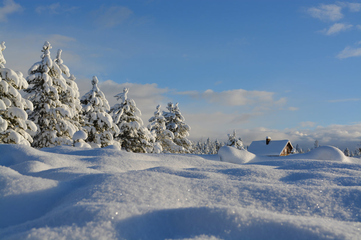 photo-wallpaper-beautiful-snow-landscape