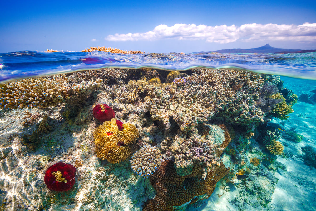 photo-wallpaper-mayotte-the-reef