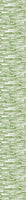 patterned-wallpaper-graphit-green