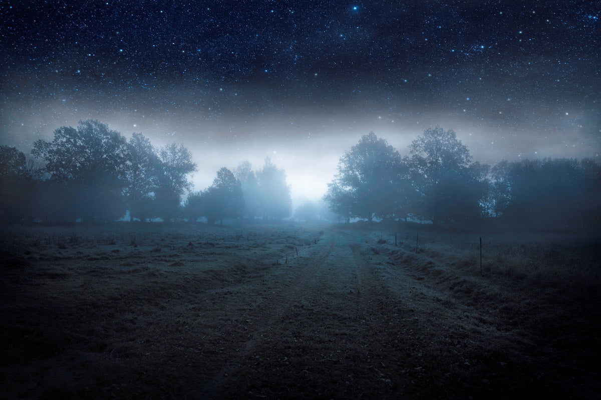 photo-wallpaper-visions-of-the-night-x