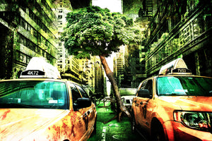 photo-wallpaper-taxi-fantasy