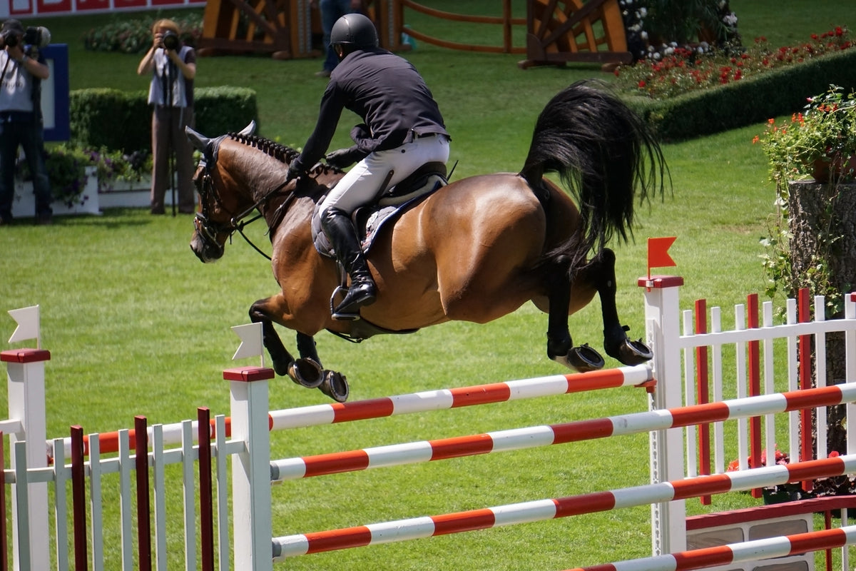 photo-wallpaper-the-show-jumper