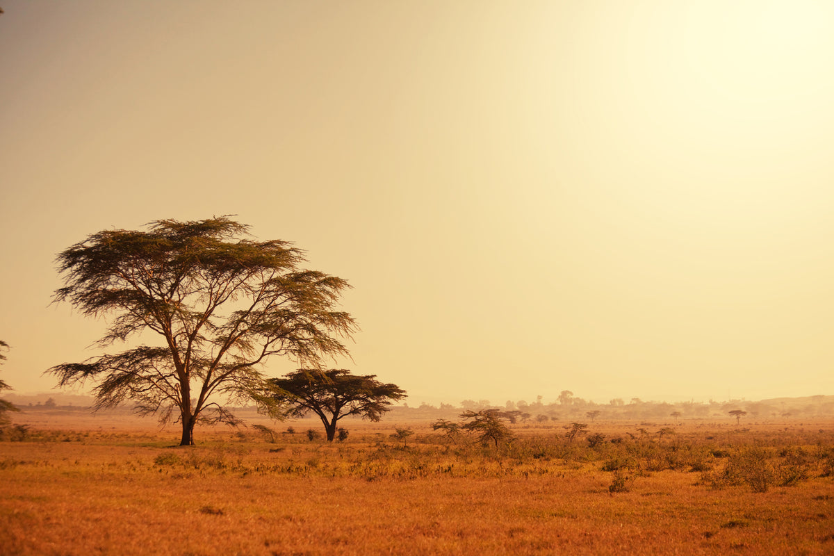 photo-wallpaper-pastures-in-kenya