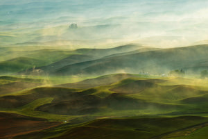 photo-wallpaper-golden-morningpalouse-x