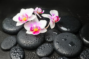 photo-wallpaper-feng-shui-orchid-zen