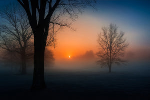 photo-wallpaper-foggy-sunrise-x