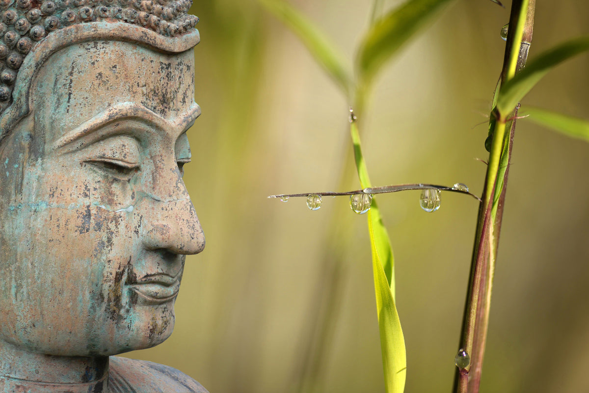 photo-wallpaper-xl-buddha-head