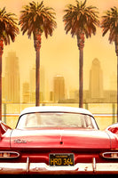 photo-wallpaper-plymouth-savoy-with-palms