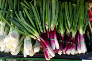 photo-wallpaper-spring-onions