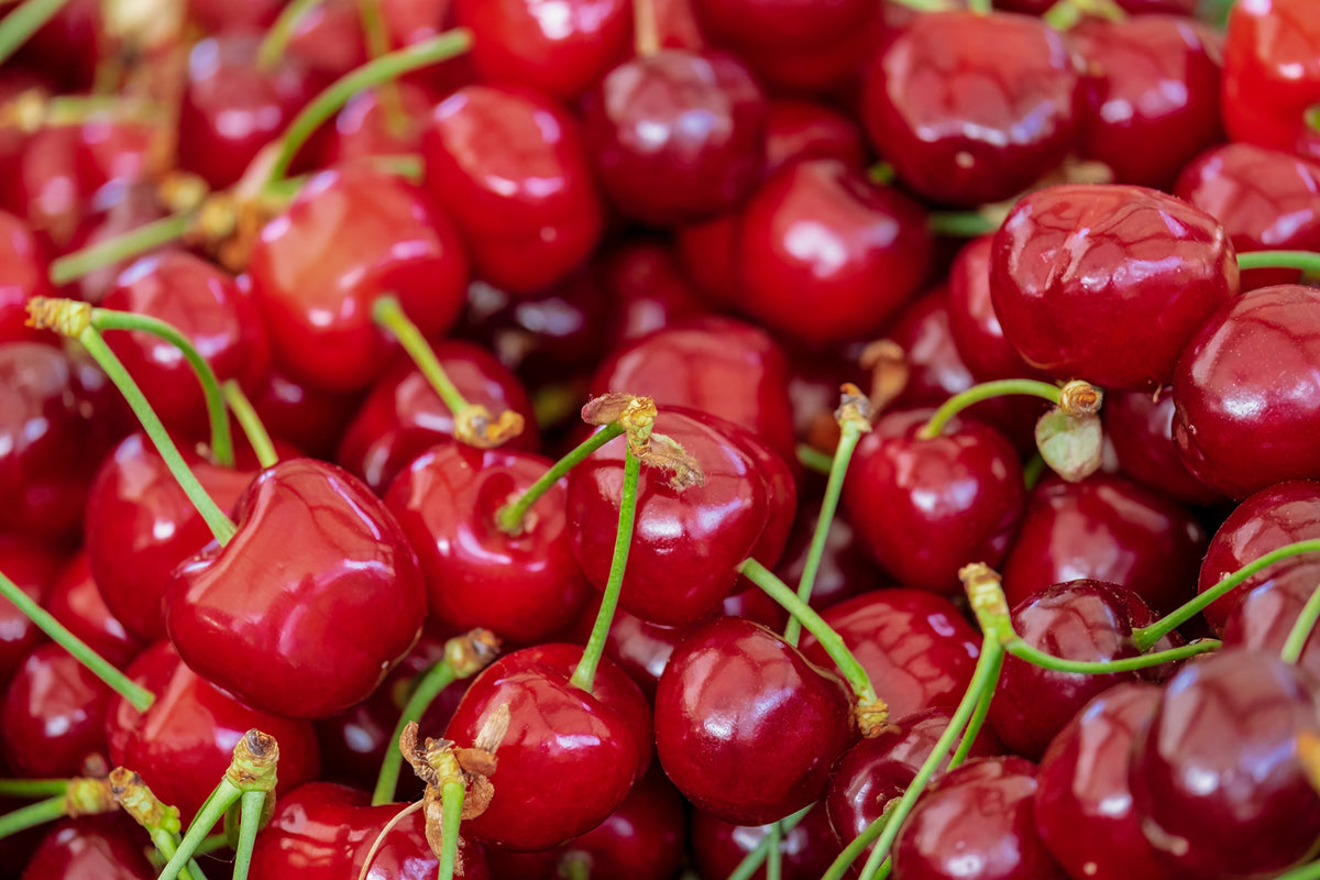 photo-wallpaper-sweet-cherries