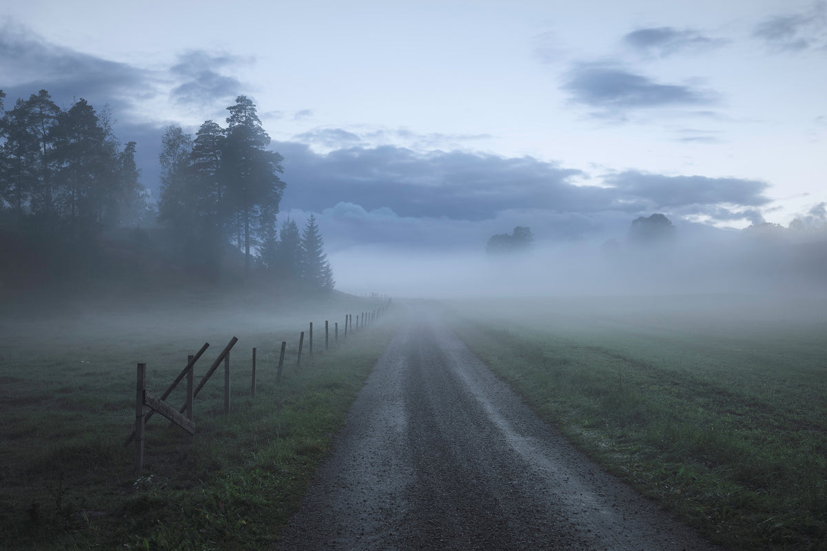 photo-wallpaper-moody-road-x