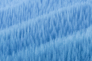 photo-wallpaper-winter-s-pattern-x