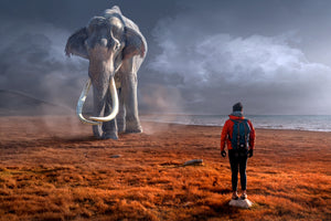 photo-wallpaper-fantasy-mammoth