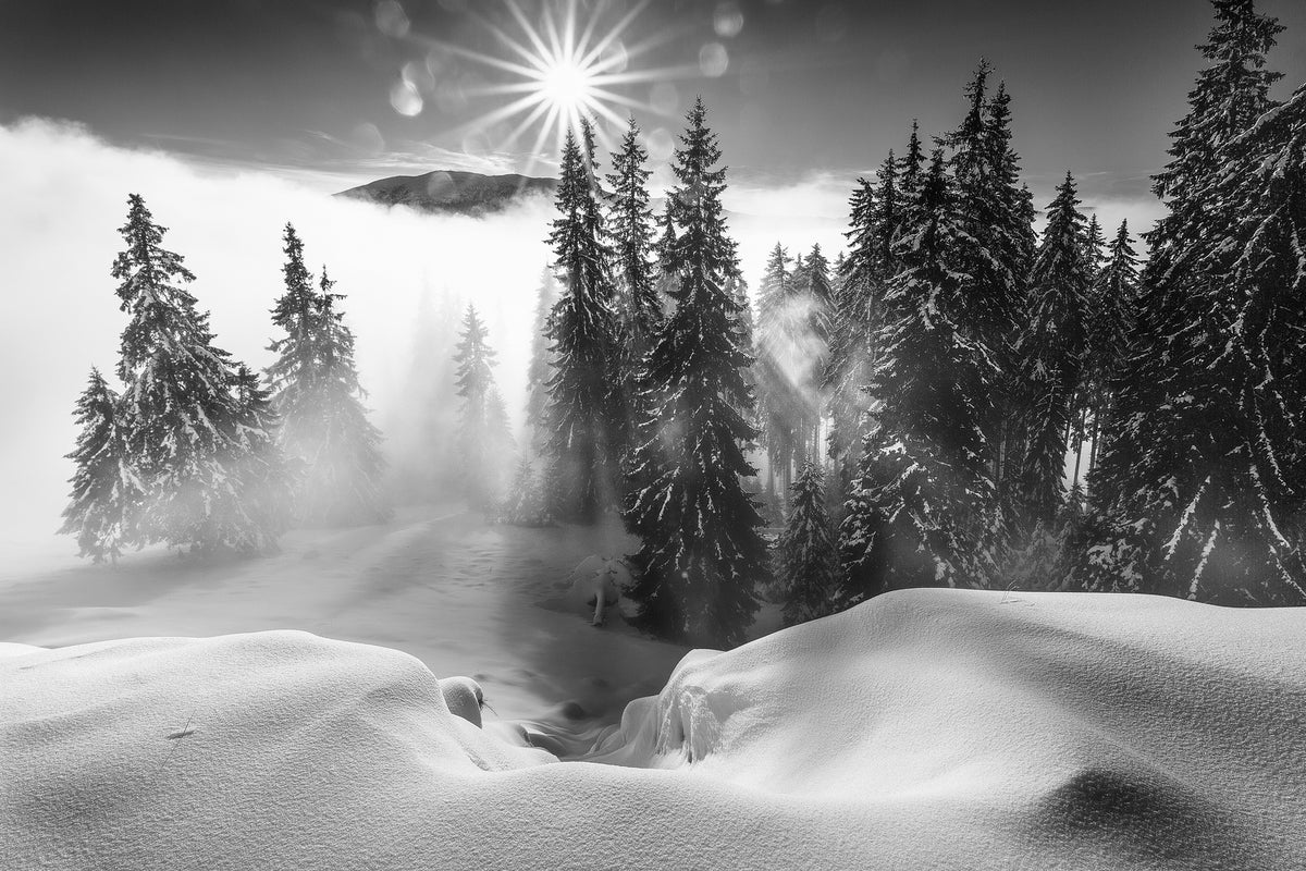 photo-wallpaper-a-winter-tale