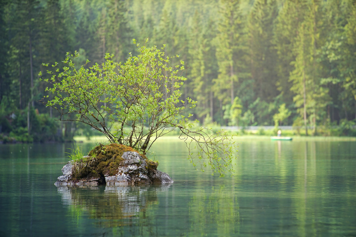 photo-wallpaper-the-pond-in-the-forest