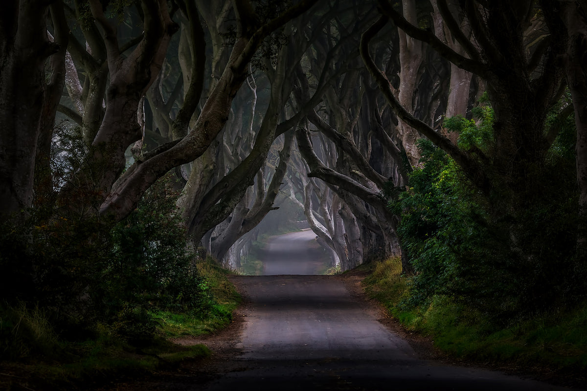 photo-wallpaper-magic-road