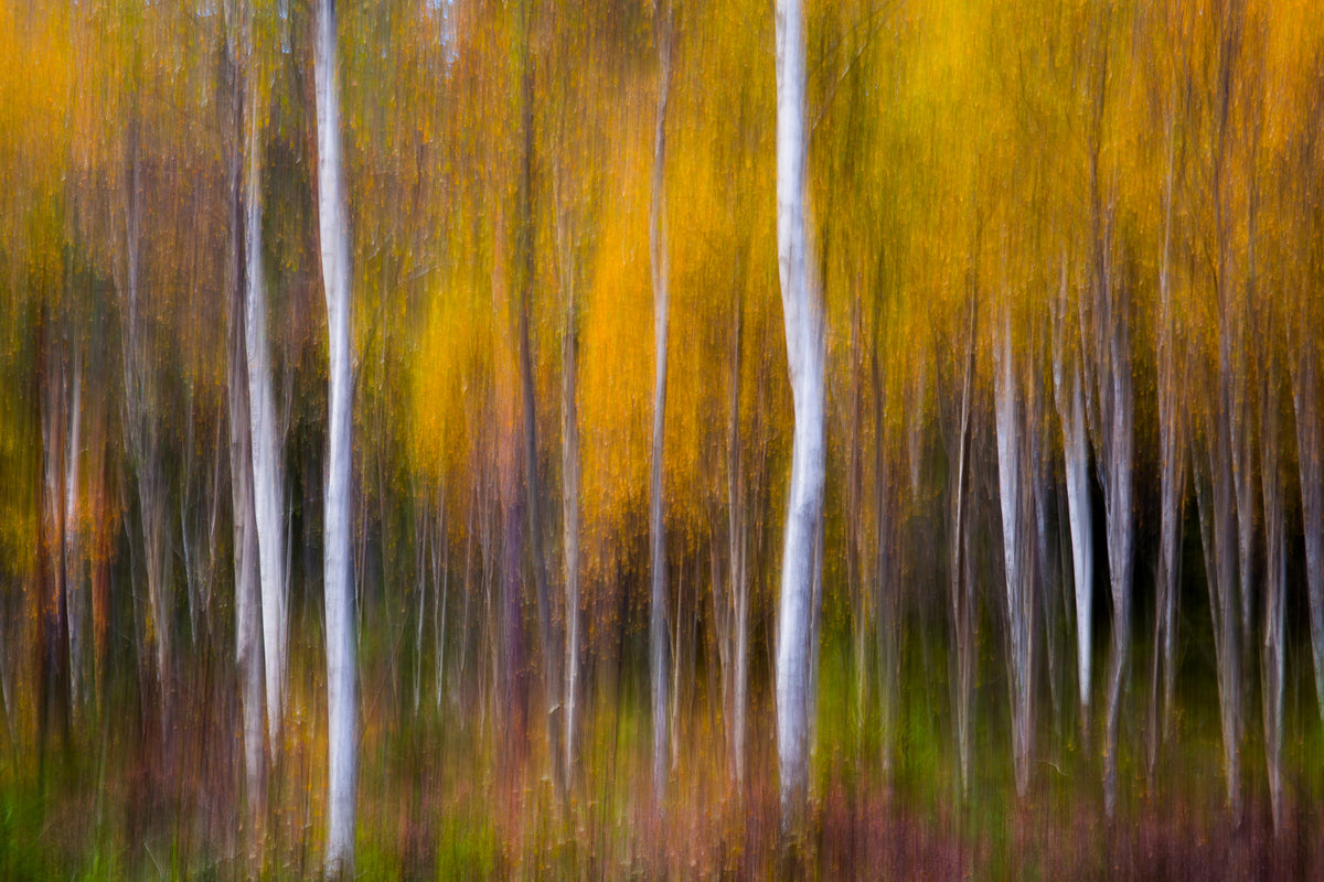 photo-wallpaper-abstract-fall