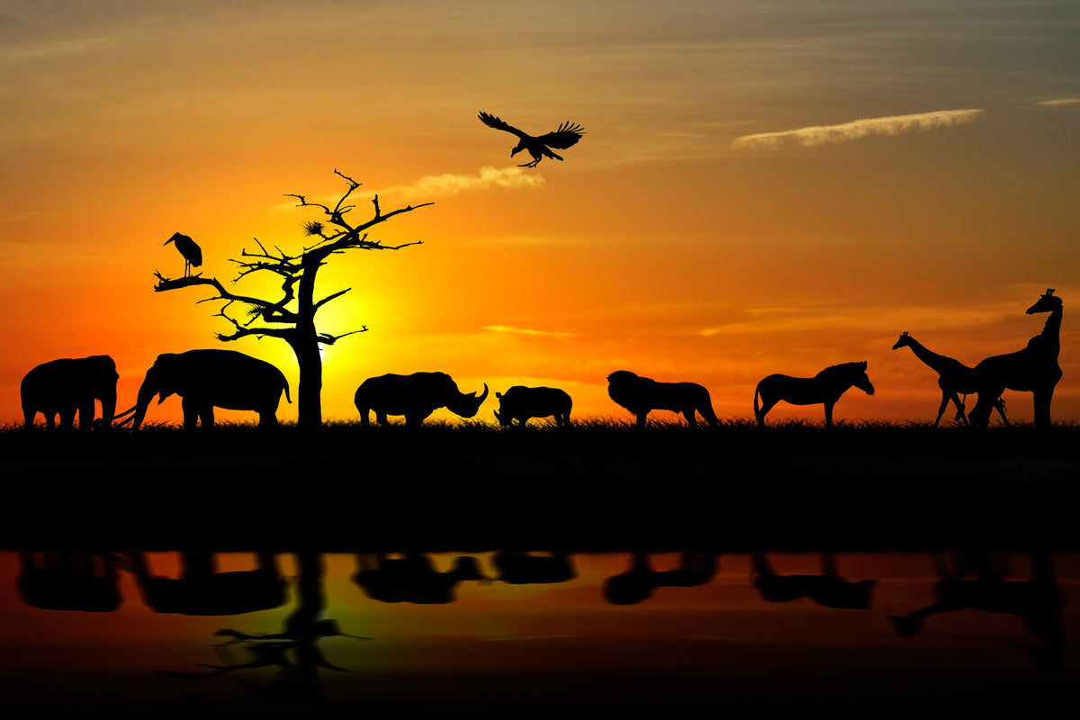 photo-wallpaper-safari-animals-at-sunset