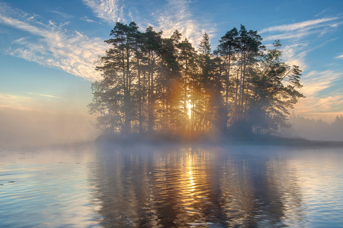 photo-wallpaper-morning-light-xmh