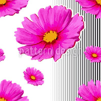 patterned-wallpaper-pink-cosmea