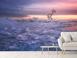 photo-wallpaper-winter-wonderland-x