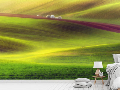 photo-wallpaper-golden-fields-x