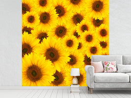 photo-wallpaper-a-bouquet-sunflower