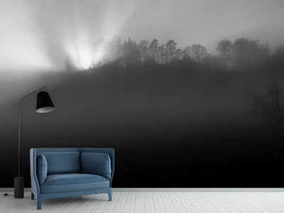 photo-wallpaper-foggy-and-sunny-weather