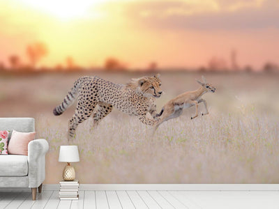 photo-wallpaper-cheetah-hunting-a-gazelle-x