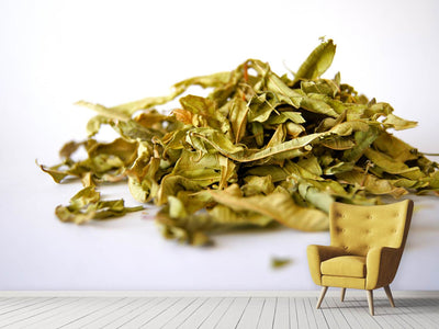 photo-wallpaper-tea-leaves