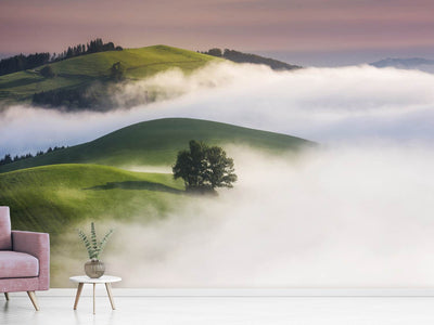 photo-wallpaper-green-hills-x