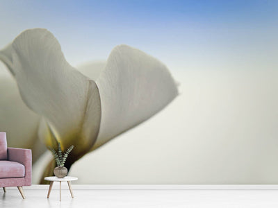 photo-wallpaper-the-leaf-of-a-lily-blossom