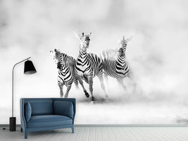 photo-wallpaper-zebras