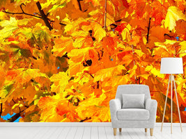 photo-wallpaper-autumn-leaves-ii