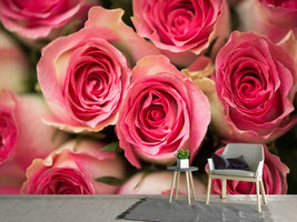 photo-wallpaper-rose-love