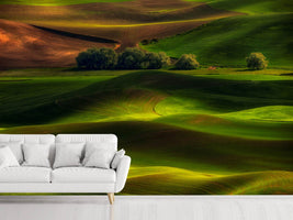 photo-wallpaper-spring-in-the-palouse