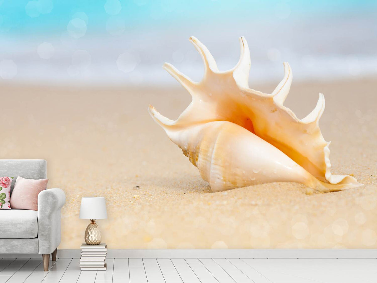 photo-wallpaper-the-shell-on-the-beach