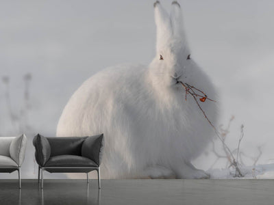 photo-wallpaper-wild-arctic-hare-x