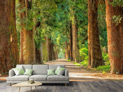 photo-wallpaper-the-green-avenue