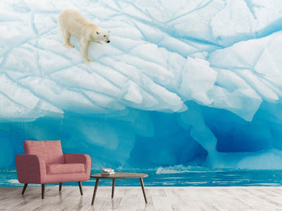 photo-wallpaper-polar-bear