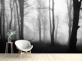 photo-wallpaper-forest-xue