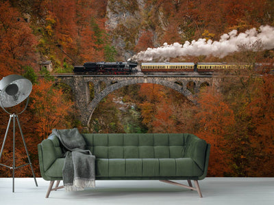 photo-wallpaper-museum-train