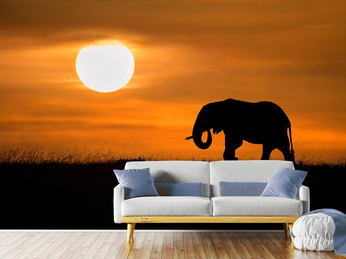 photo-wallpaper-elephant-at-dawn-x