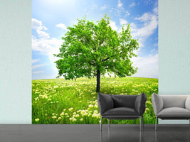 photo-wallpaper-the-tree