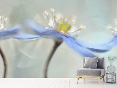 photo-wallpaper-dancing-anemones